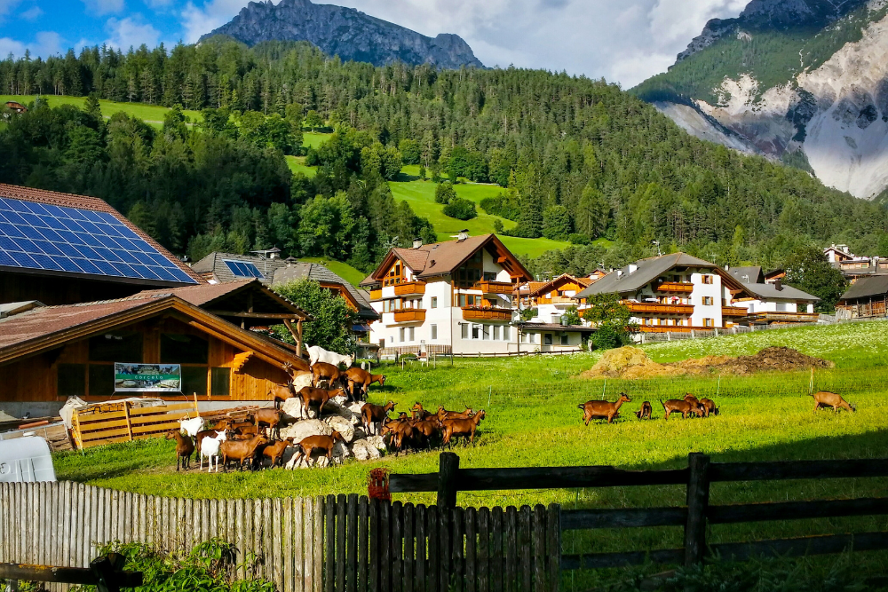une installation de panneaux solaires sur le toit d'une ferme en Suisse